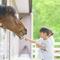 熱中症対策をして馬のおやつ体験に参加しよう！の画像