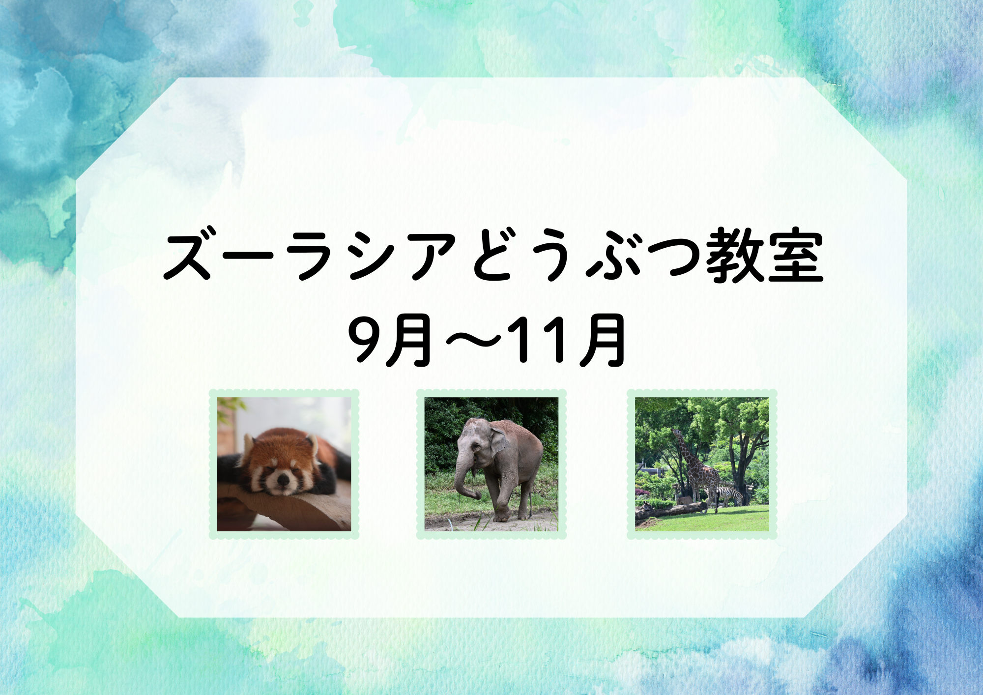 【9～11月】ズーラシアどうぶつ教室（毎週日曜）の写真