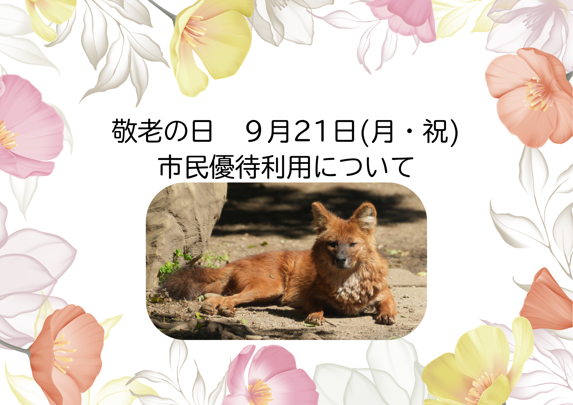 「敬老の日」市民優待利用についての写真