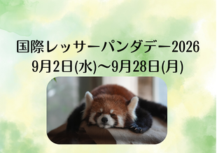 「国際レッサーパンダデー2026」のイベントを行います