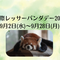 「国際レッサーパンダデー2026」のイベントを行いますの画像