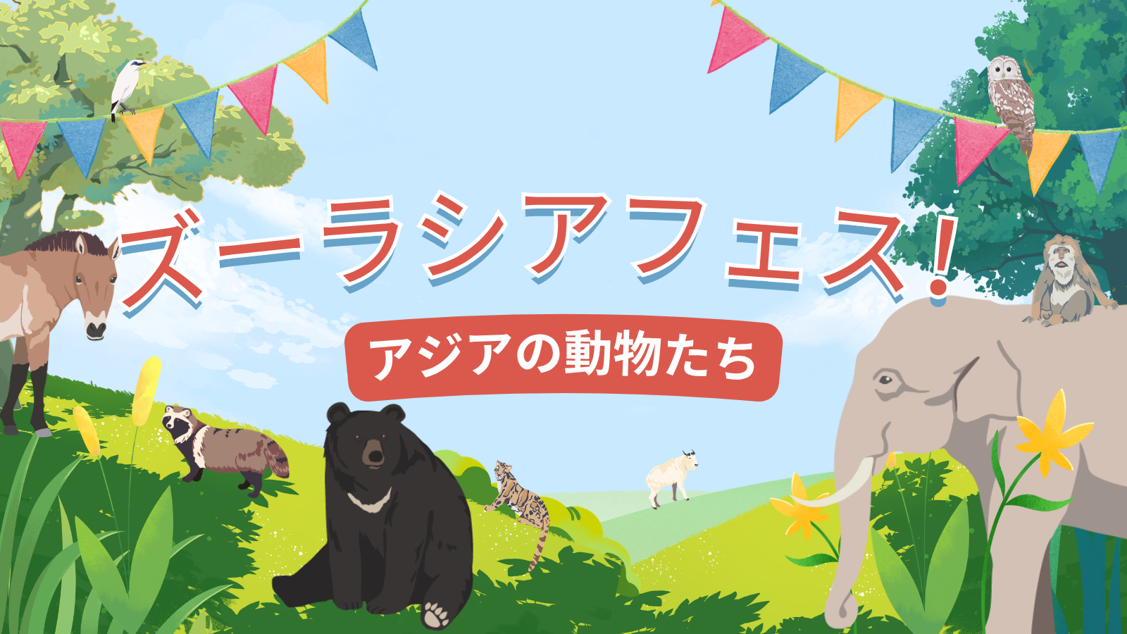 ズーラシアフェス！～アジアの動物たち～の写真