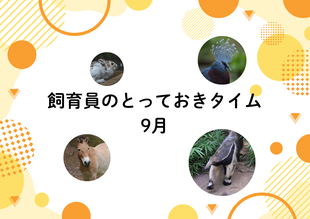 【9月】飼育員のとっておきタイム