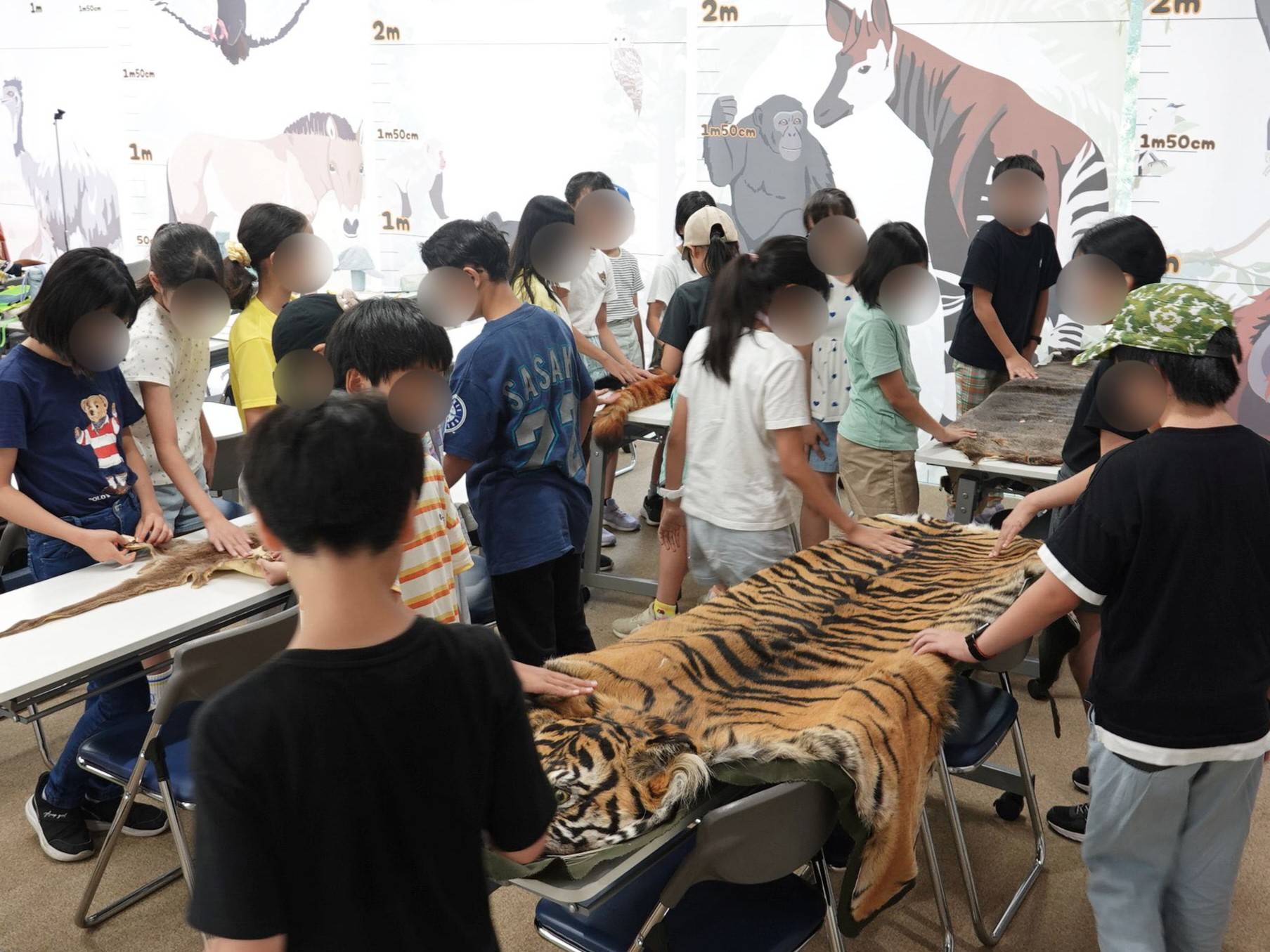 夏休み宿題教室（５・６年生）を実施しました🐅の写真