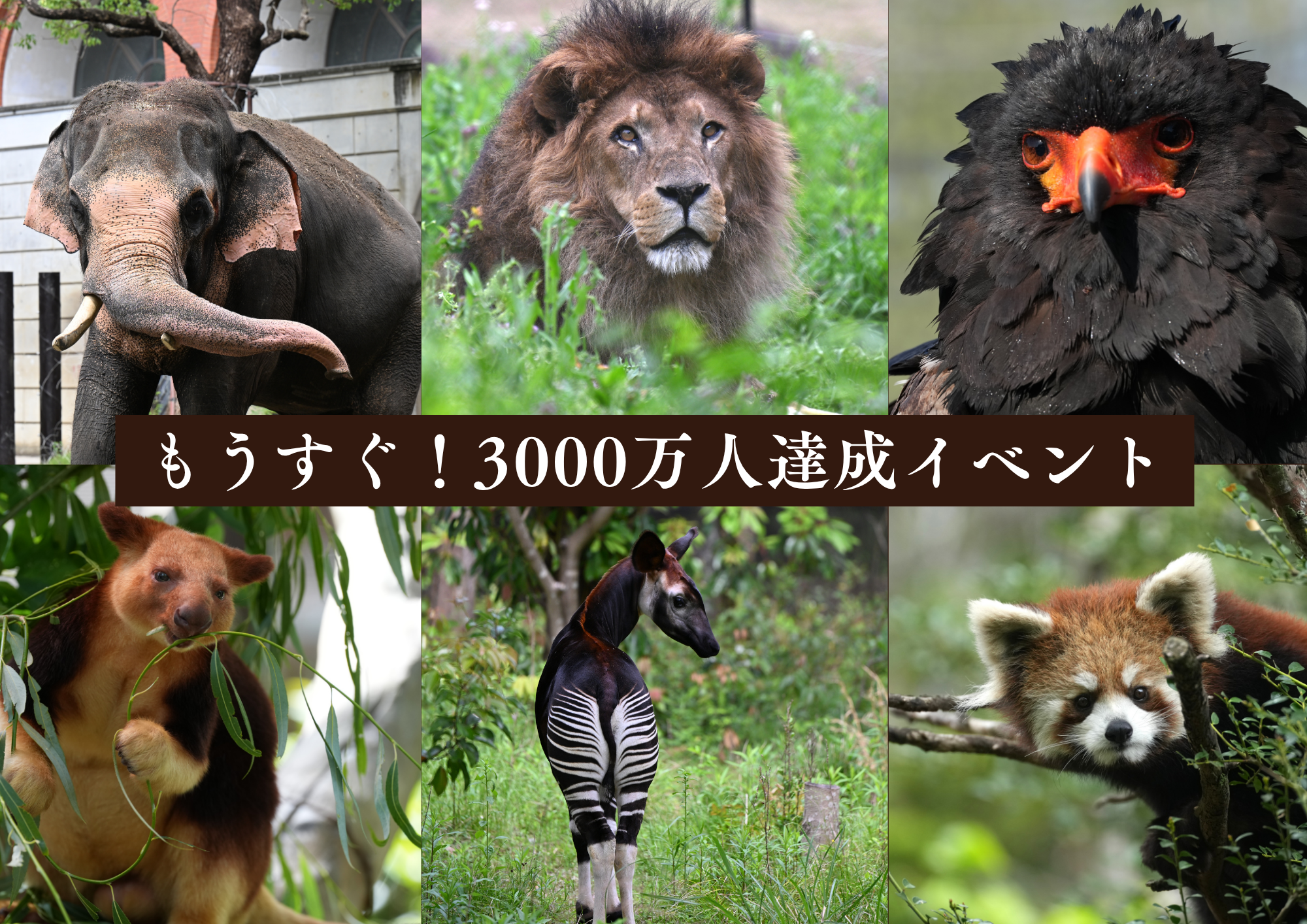 もうすぐ！3000万人達成イベントの写真