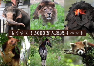 もうすぐ！3000万人達成イベント