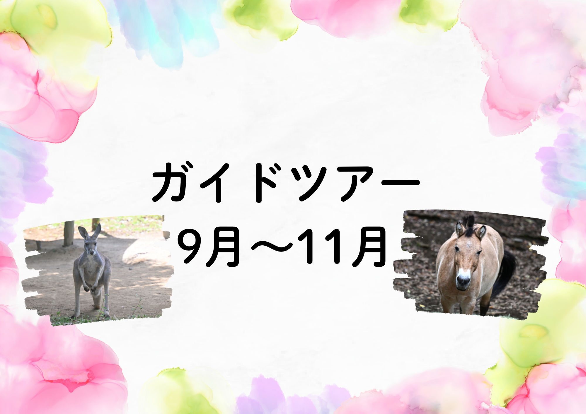 【9月～11月】ガイドツアー（毎週水曜）の写真