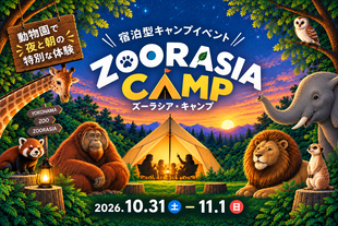 【10/1追記】「ズーラシア・キャンプ」を開催します！