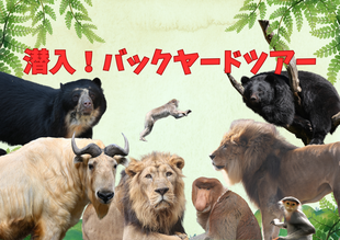 潜入！バックヤードツアー2026
