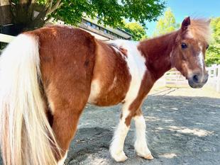 2頭はとっても馬が合う？？？
