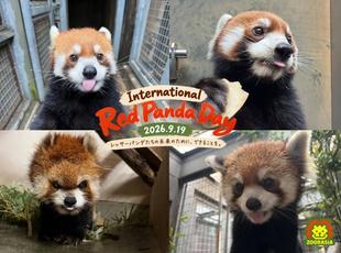 国際レッサーパンダデー2026