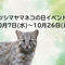 「ツシマヤマネコの日」イベントを実施します！の画像