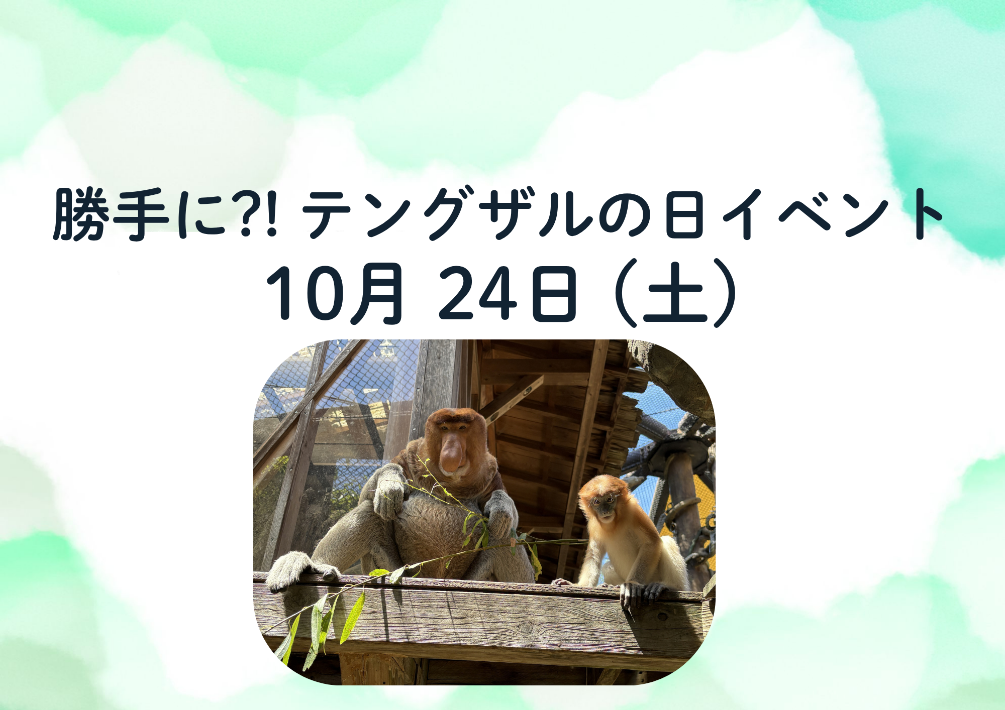 「勝手に?! テングザルの日」イベントを開催します！の写真