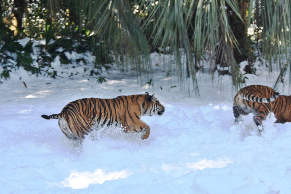 IMG_7032 - コピー.jpg