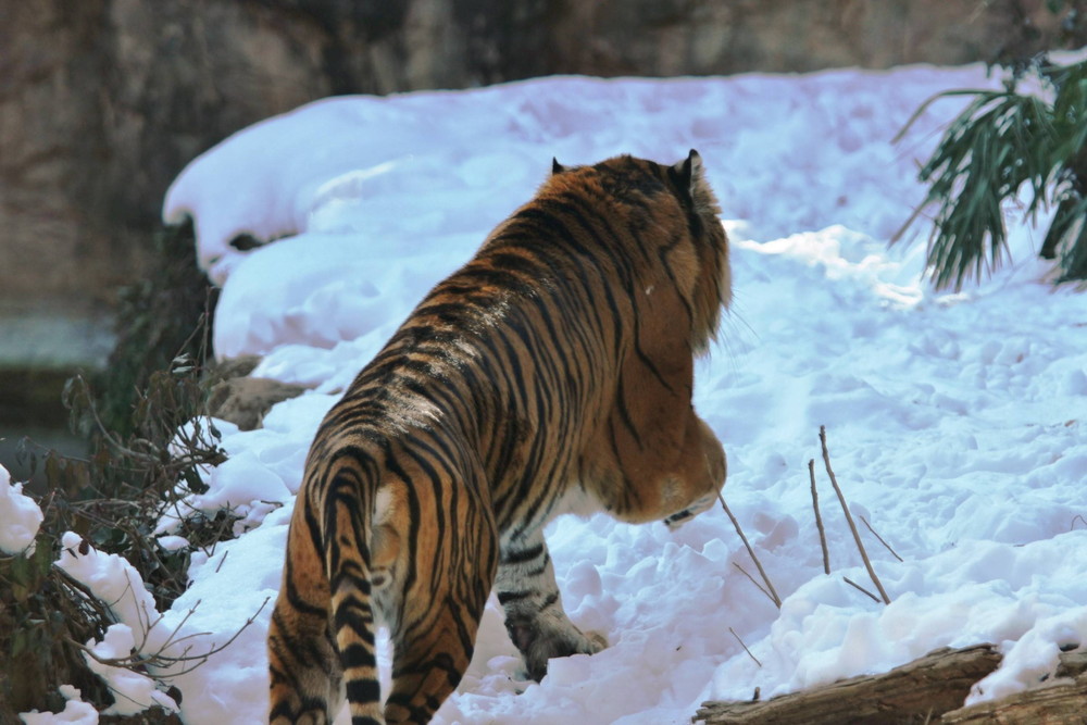 IMG_7398 - コピー.jpg