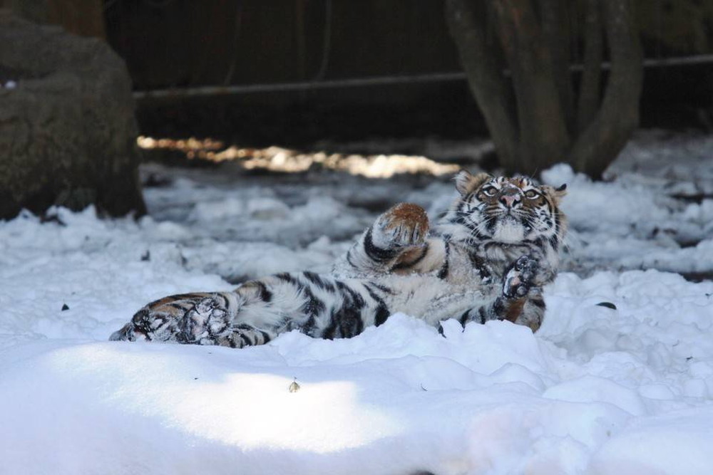 IMG_7247 - コピー.jpg