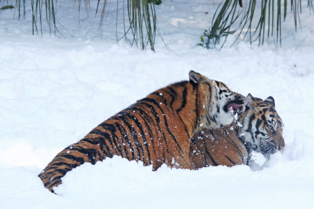 IMG_6836 - コピー.jpg