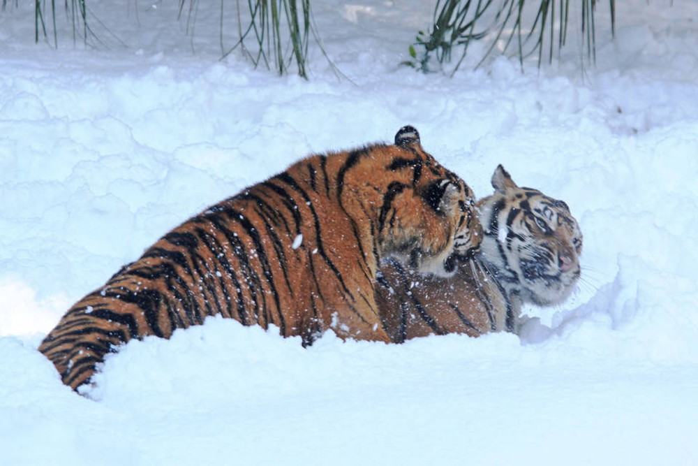 IMG_6837 - コピー.jpg