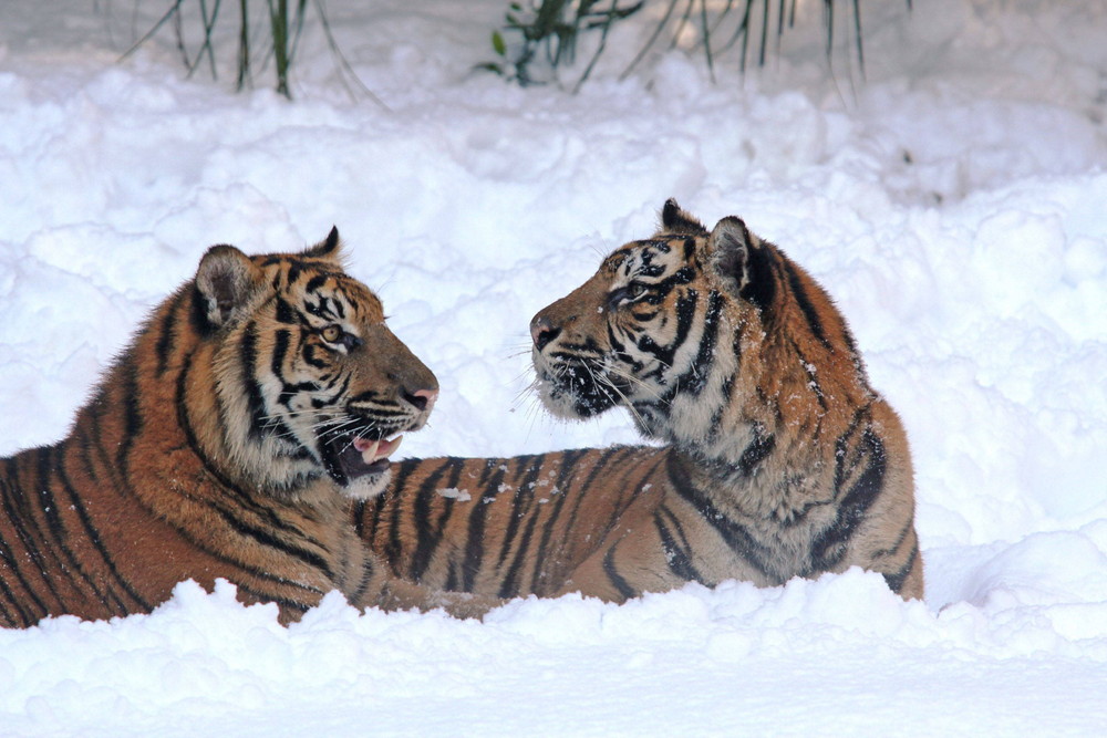 IMG_6848 - コピー.jpg