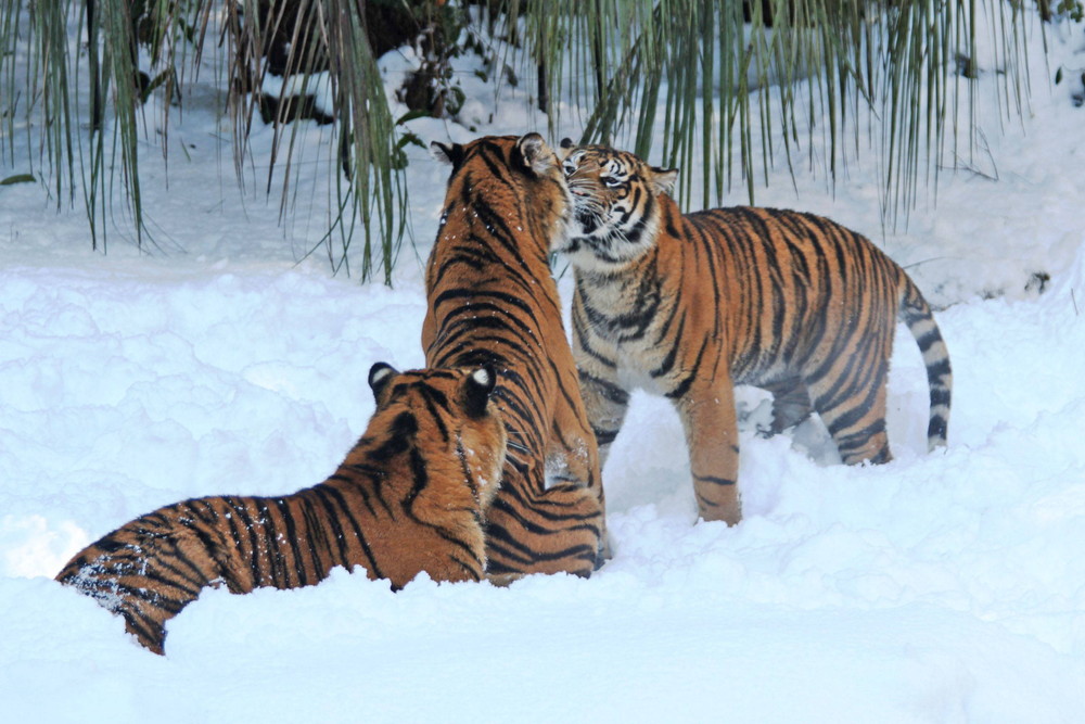 IMG_6858 - コピー.jpg