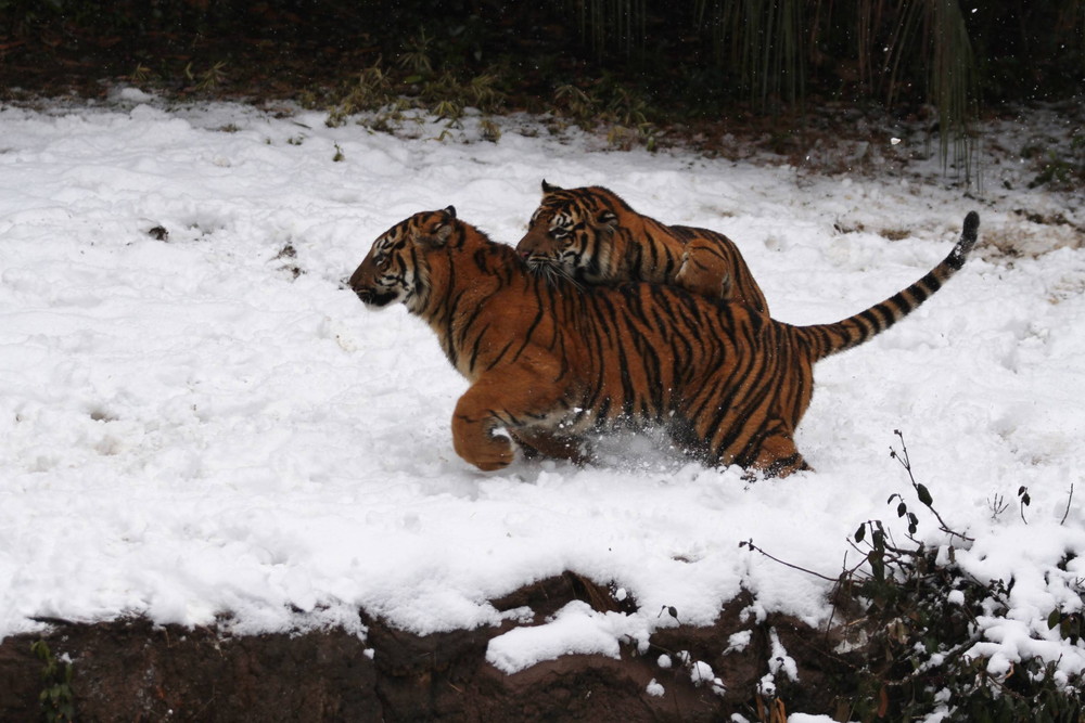 IMG_7574 - コピー.jpg