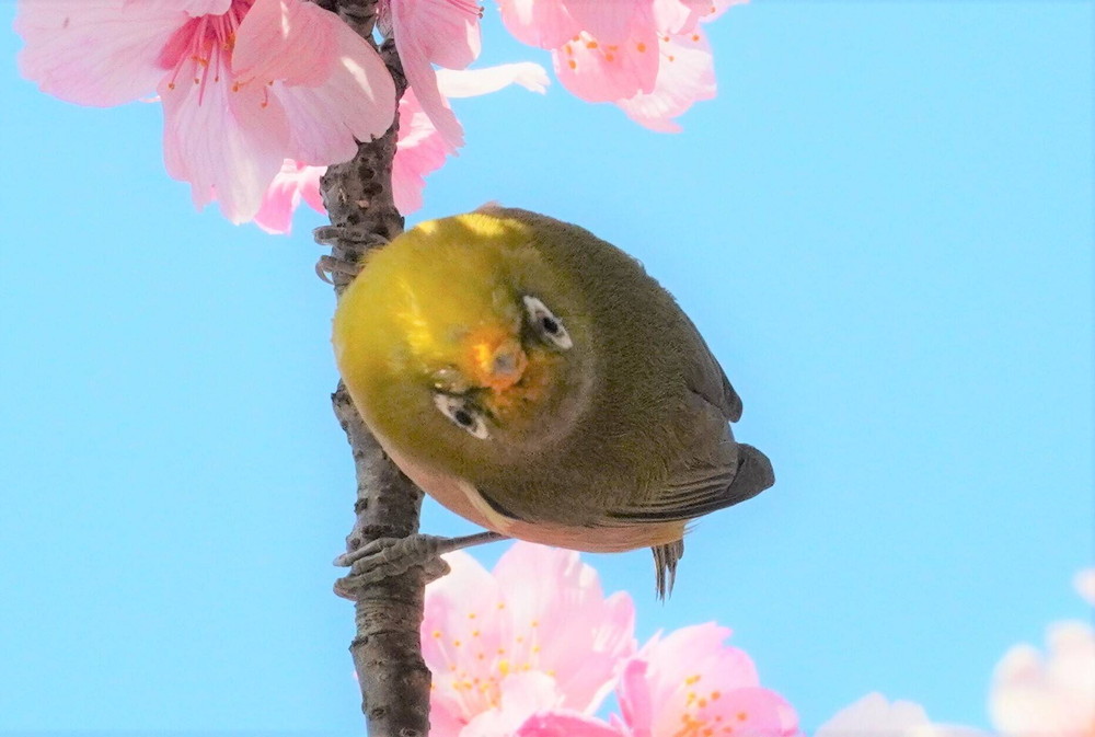 DSC01605 - コピー.jpg