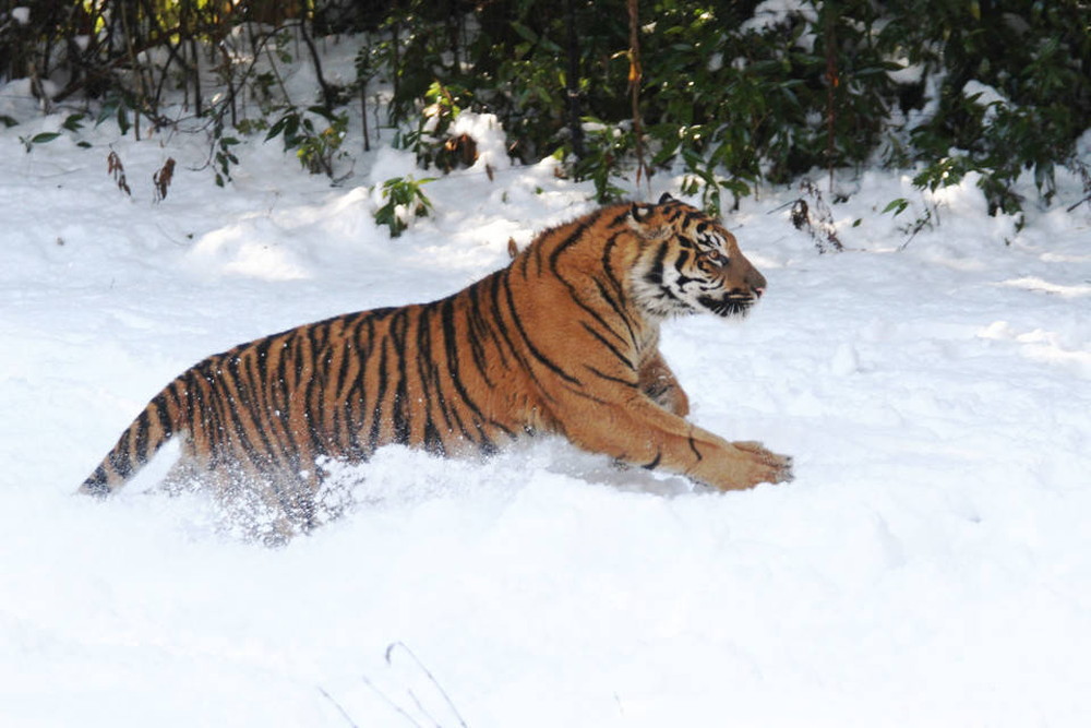 IMG_6722 - コピー.jpg