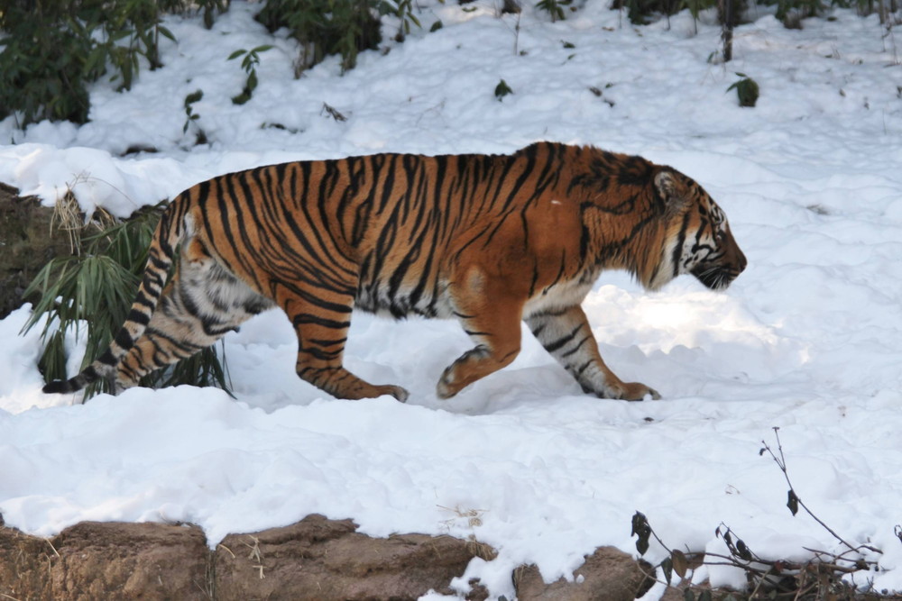 IMG_7386 - コピー.jpg