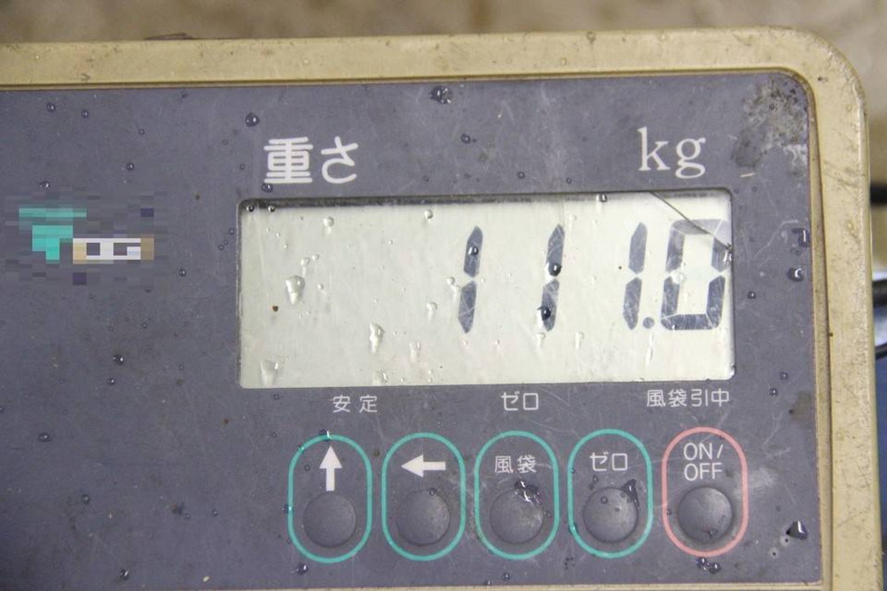 IMG_9950 - コピー.jpg