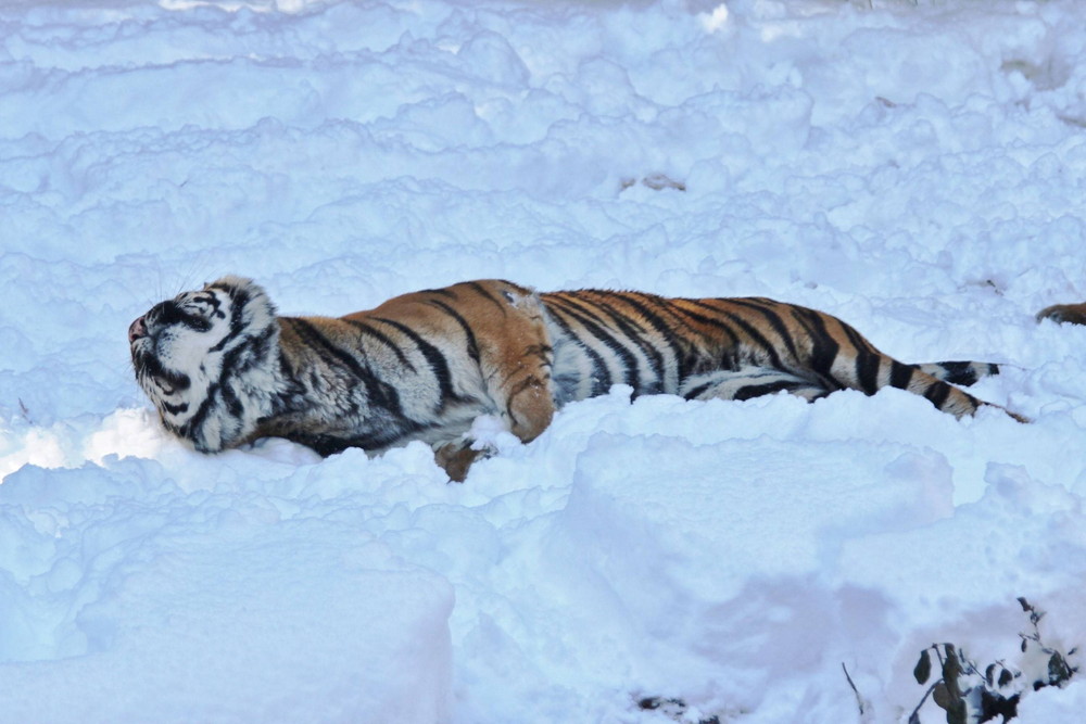 IMG_7061 - コピー.jpg