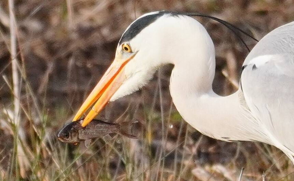 DSC08675 - コピー.jpg