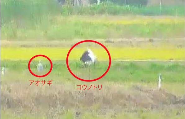 アートボード 1.png