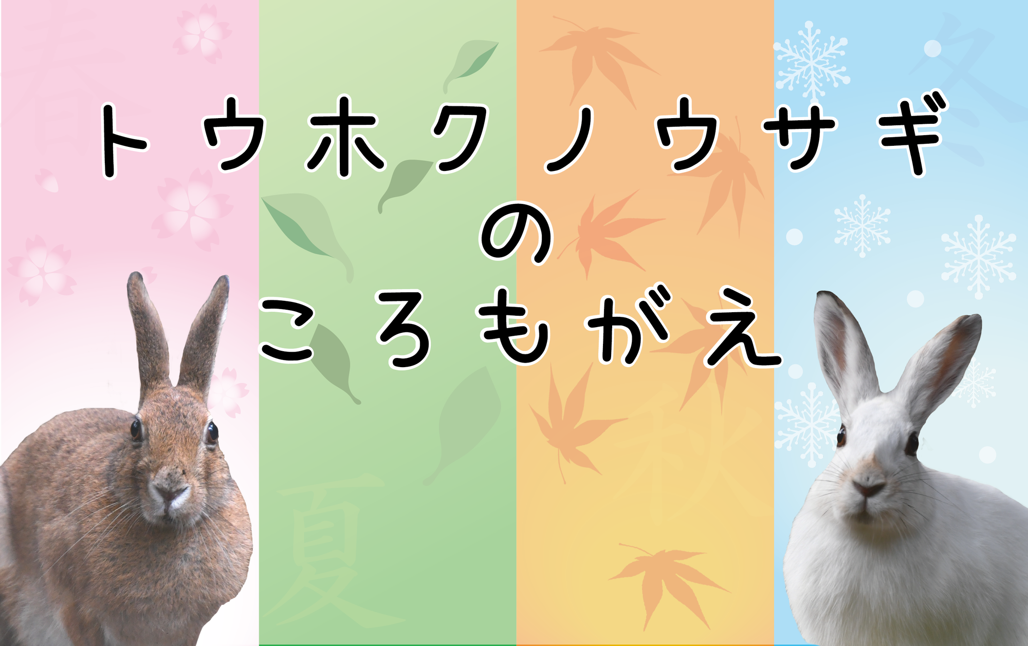 トウホクノウサギのころもがえ.png