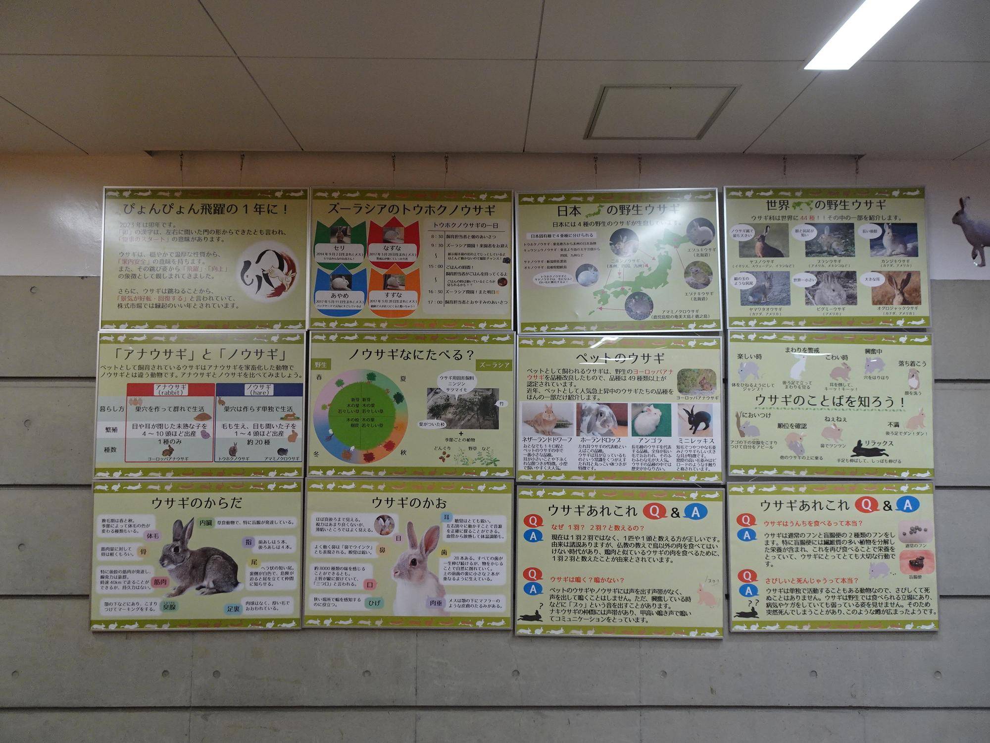 干支展 パネル.jpg