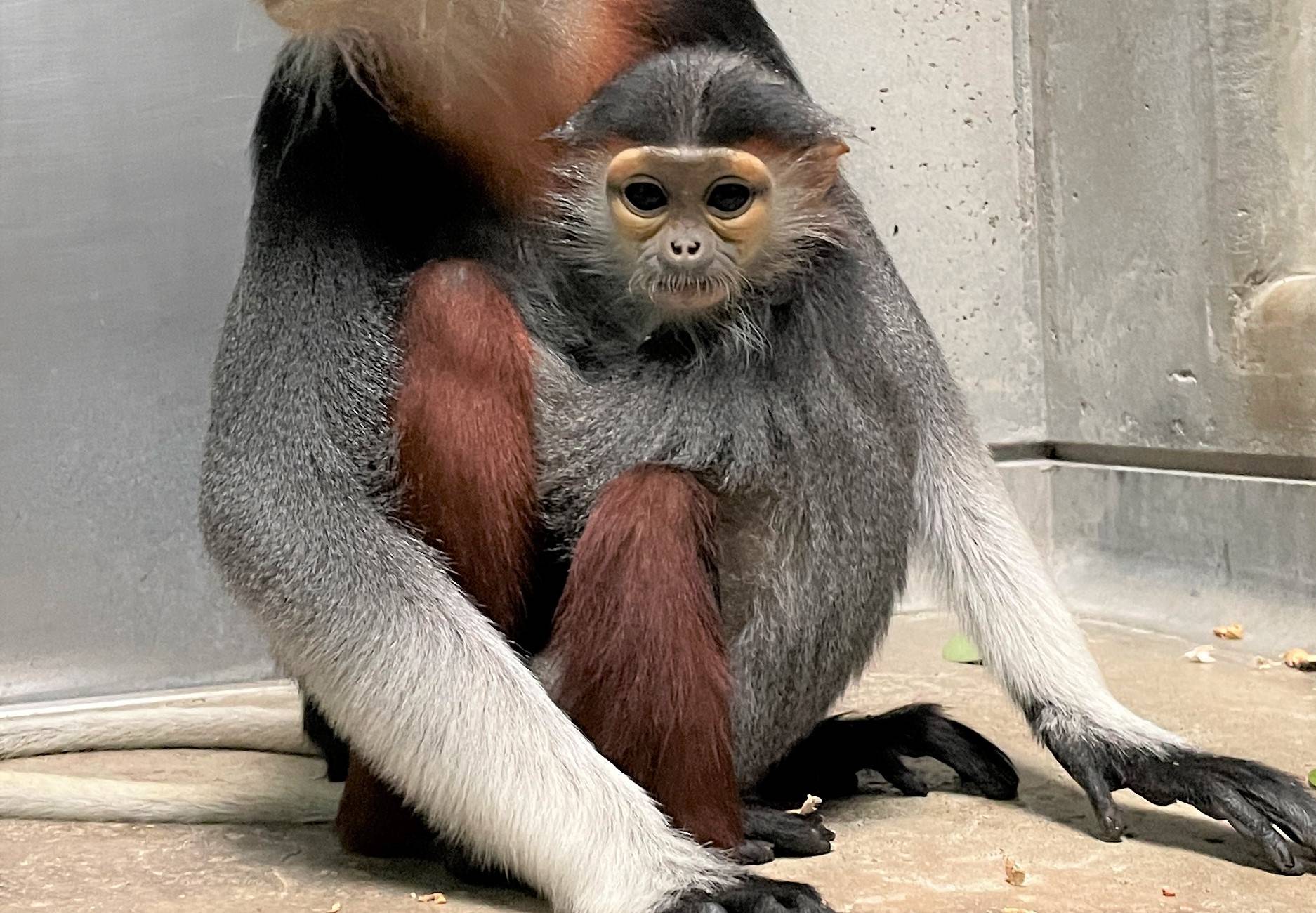 【サン】12月5日撮影.jpg