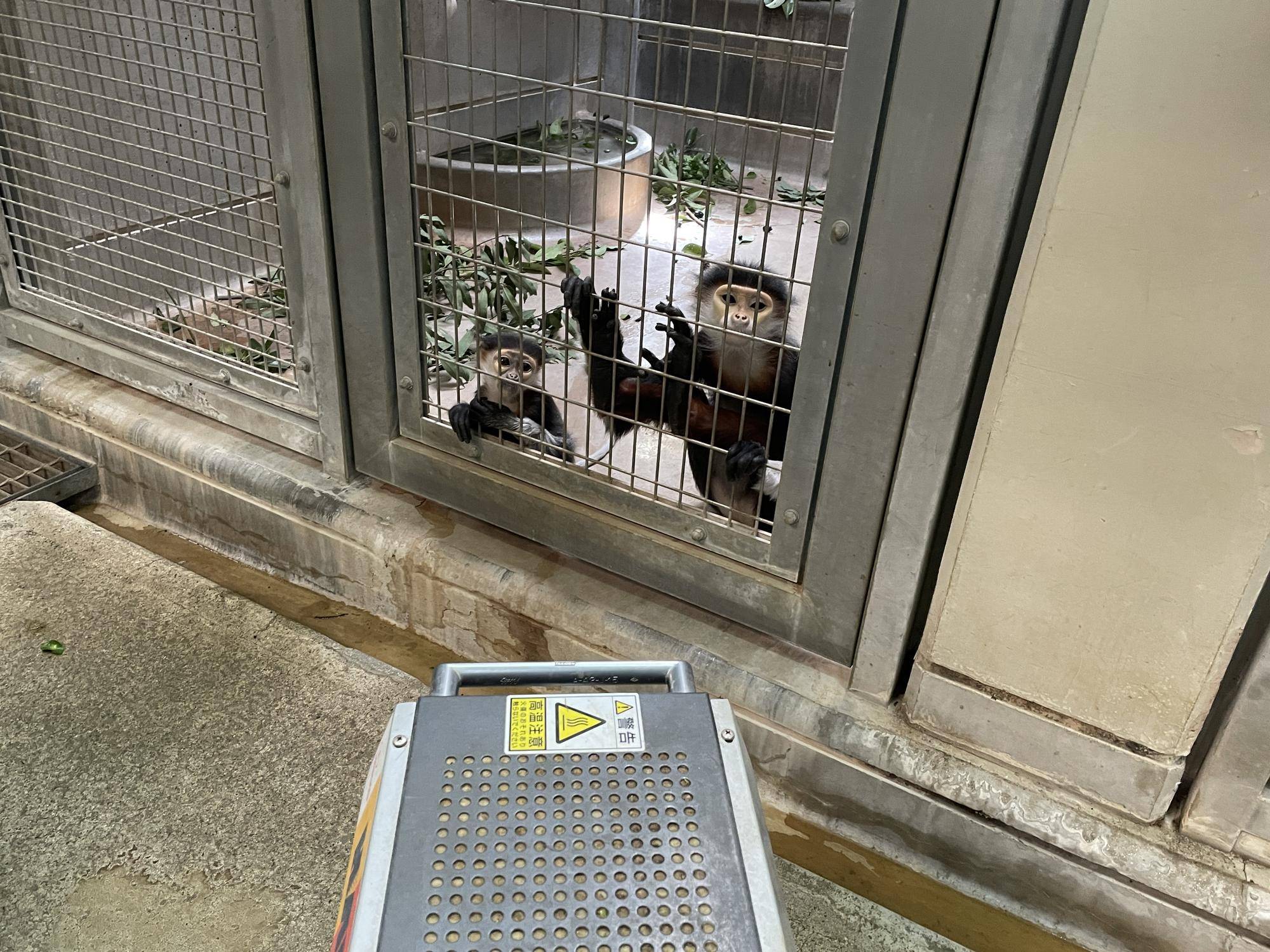 【飼育日誌】20230606：冬の秘策①② (4).jpg