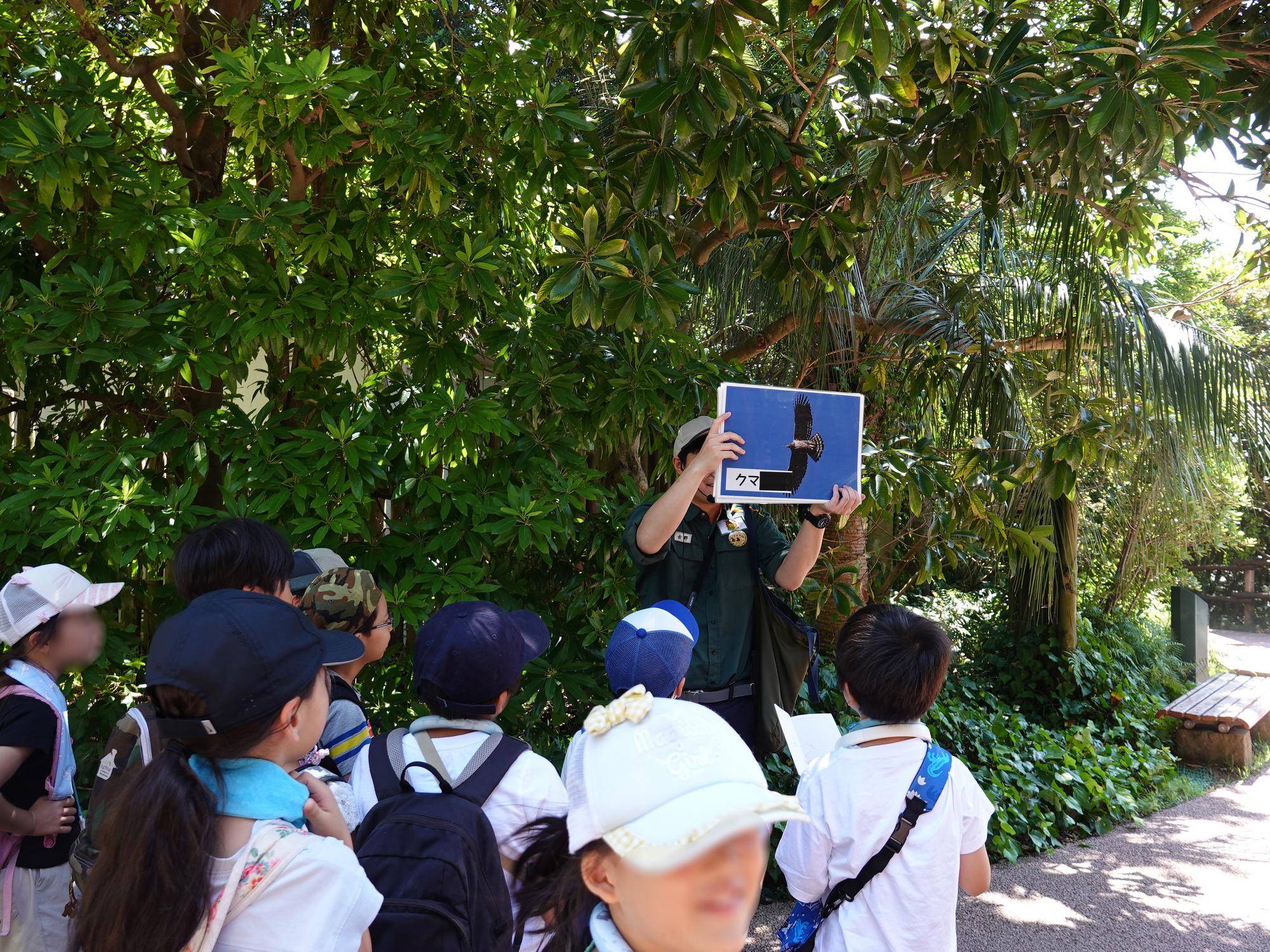 宿題教室 クマの照らし合わせ 見せてる画像はクマタカぼかし.jpg