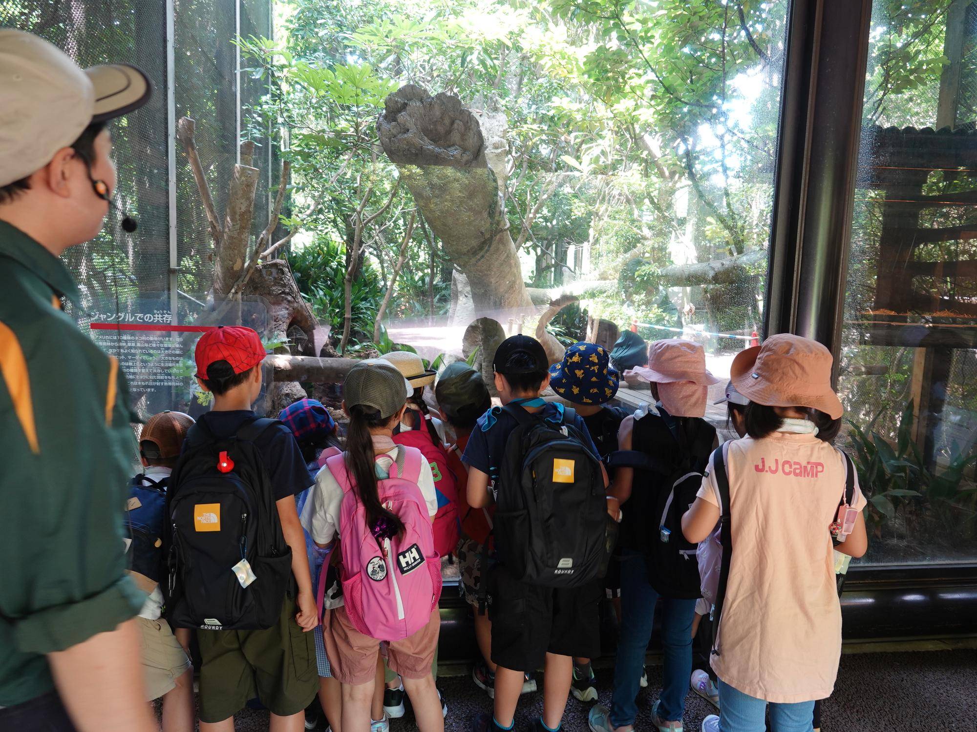 宿題教室 観察.jpg