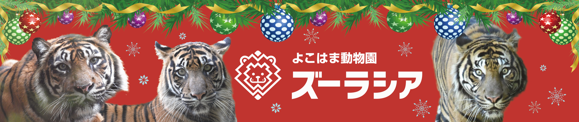 クリスマス（12月）.png