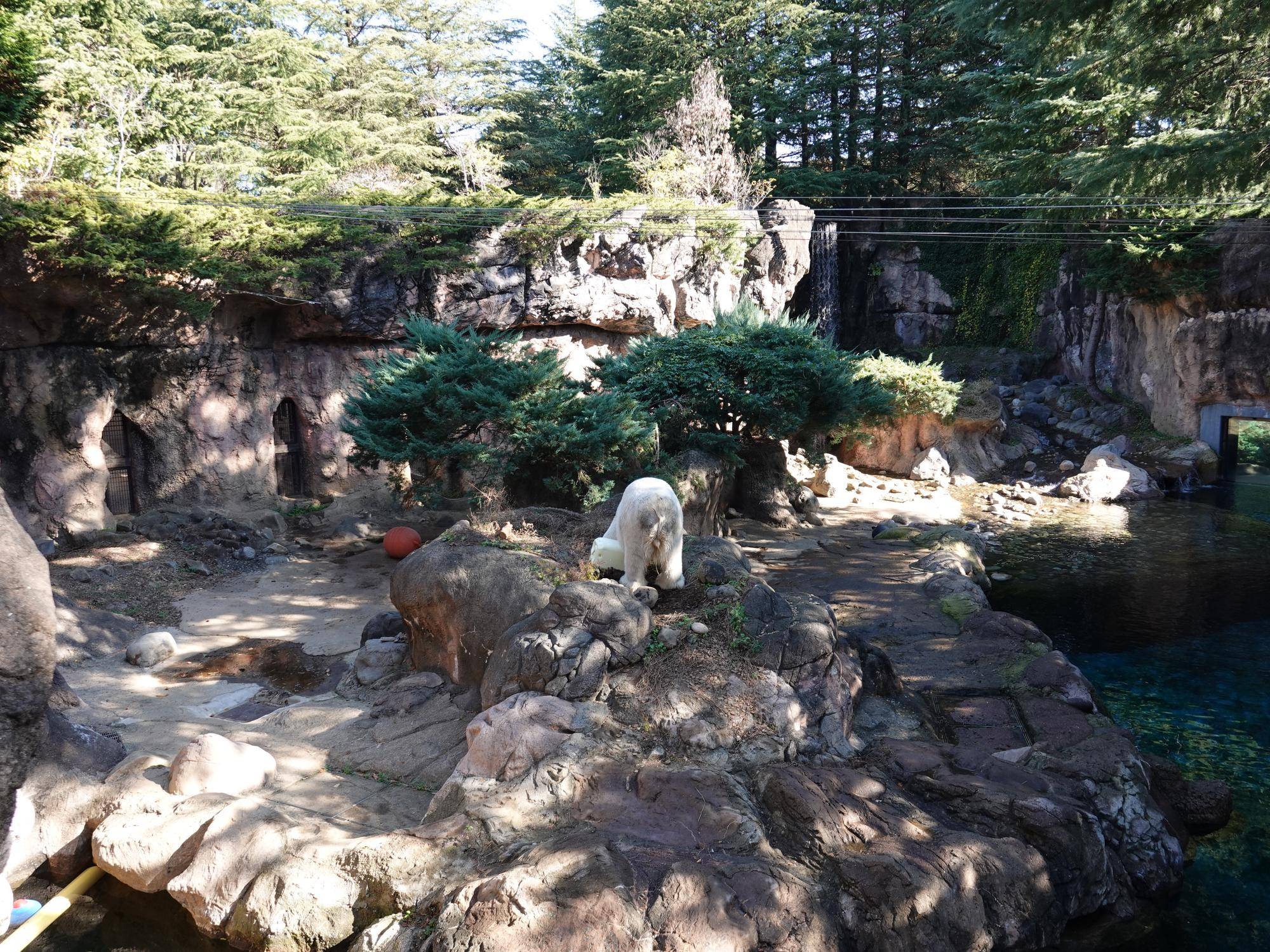⑱ホッキョクグマ展示場.jpg