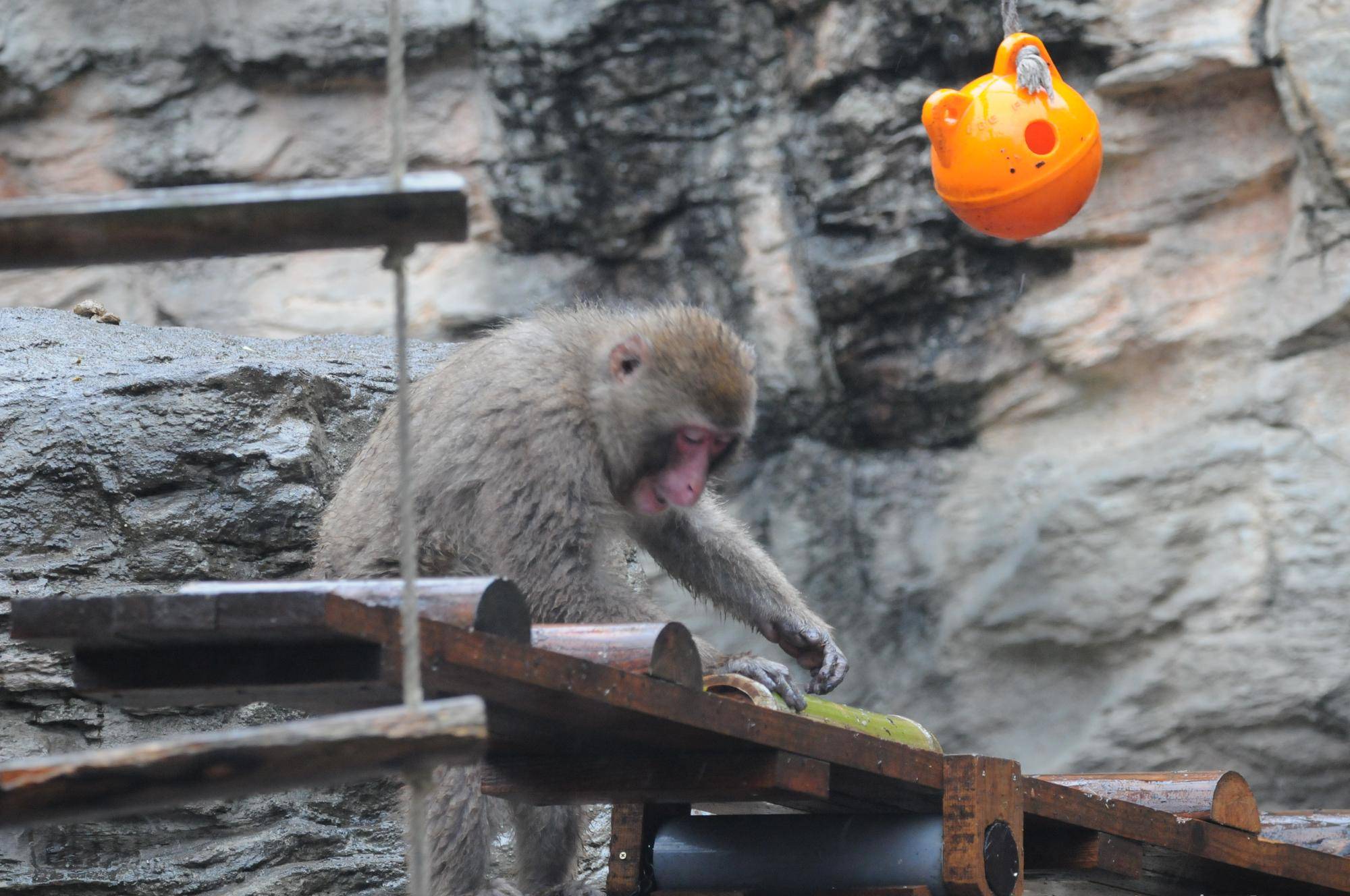 雨でも気にせず遊具に夢中 (1).jpg