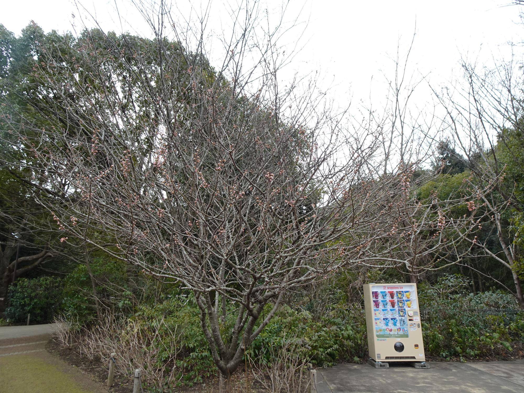 DSC03764.jpg