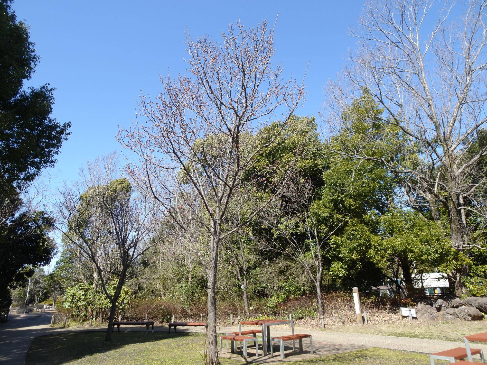 陽光(ヨウコウ) (3)-2.jpg