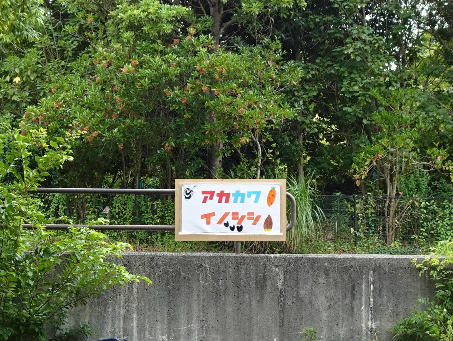 アカカワイノシシ舎 (2).jpg