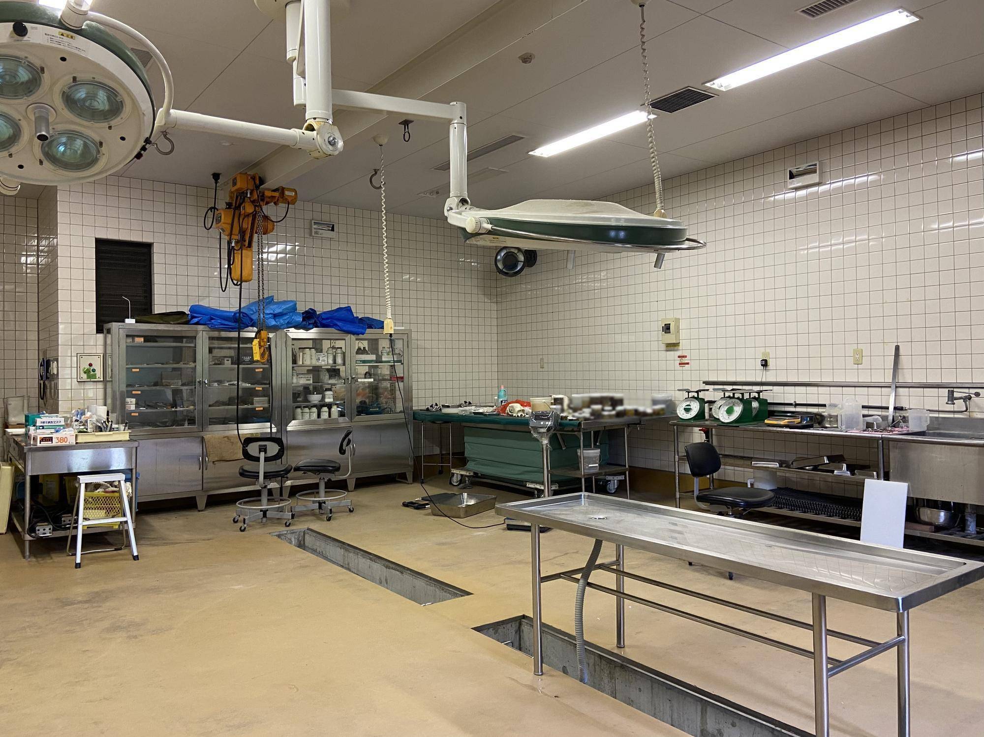解剖室.jpg