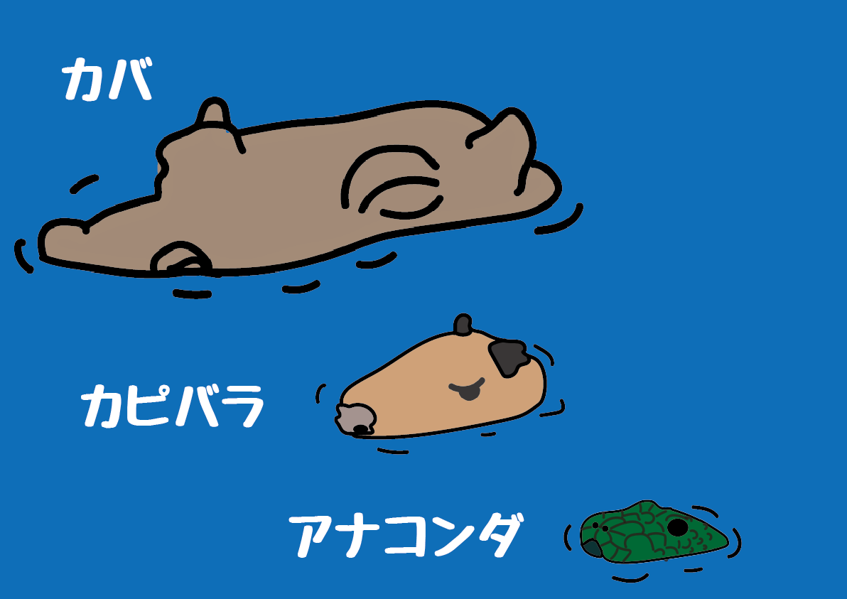 水面から.png