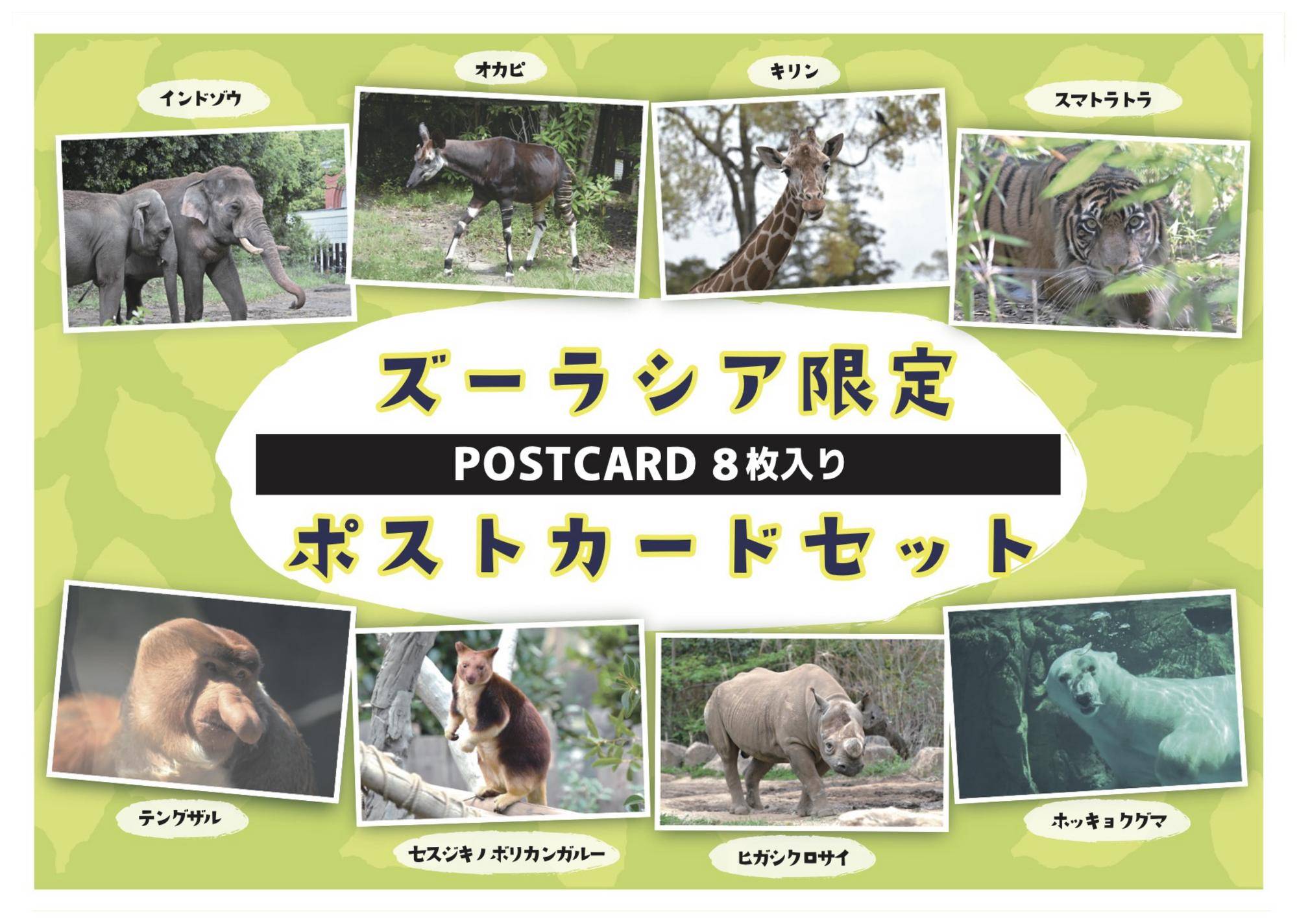 ズーラシアポストカード8枚セット.jpg
