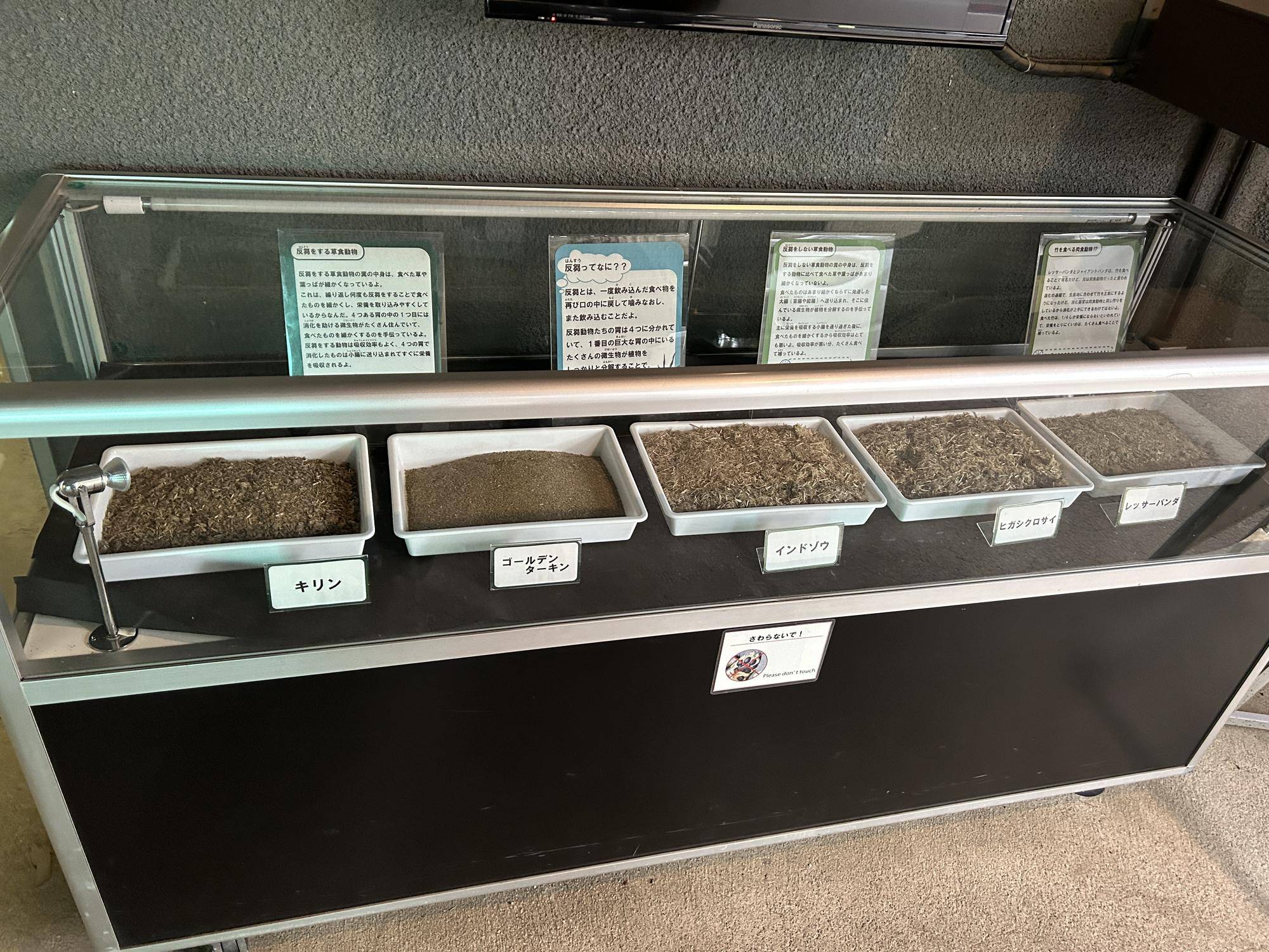 大うんち展展示物②.jpg