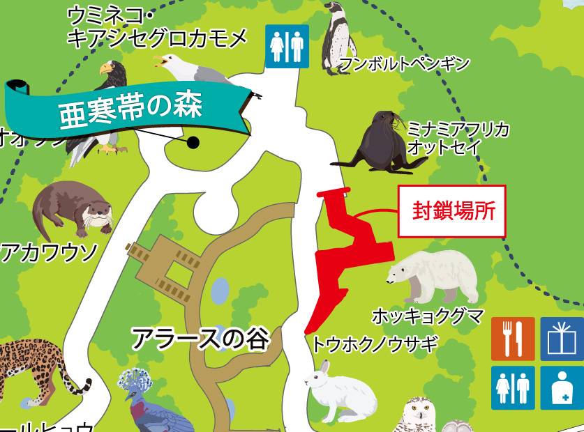 ✨ズーラシア新商品！ホッキョクグマ6種セット✨ hq720.jpg?sqp=-