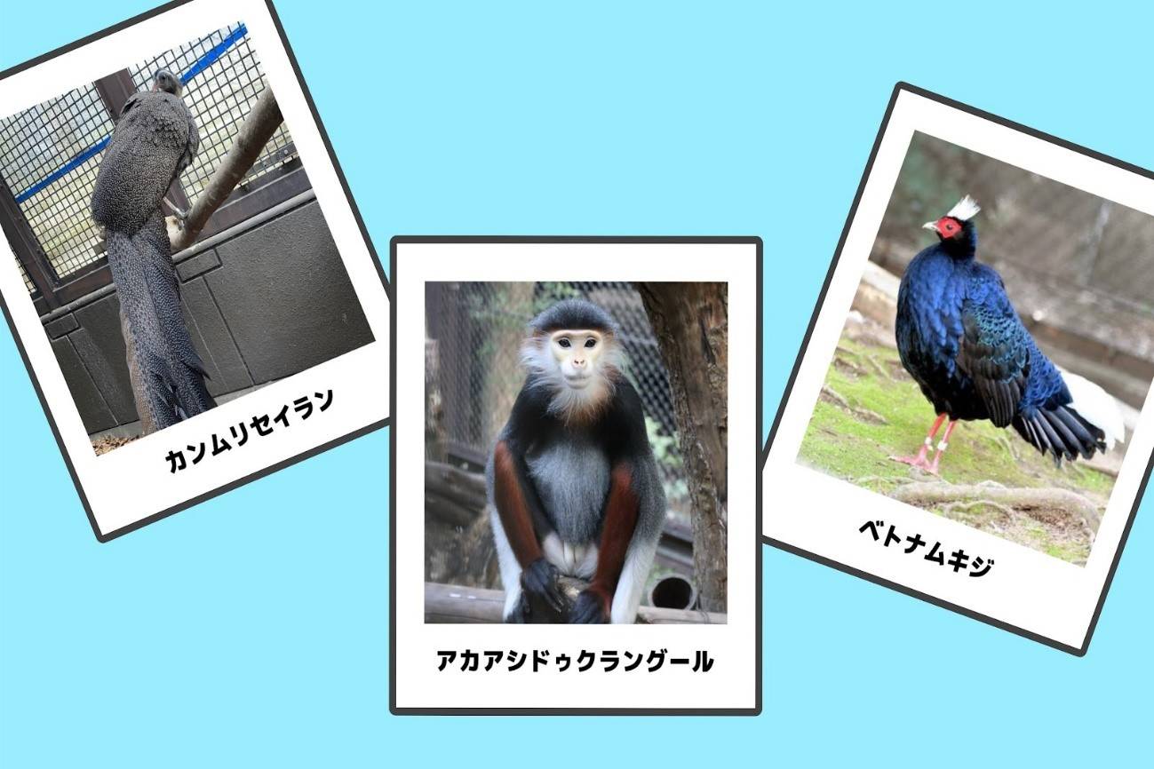 ベトナムの動物.jpg